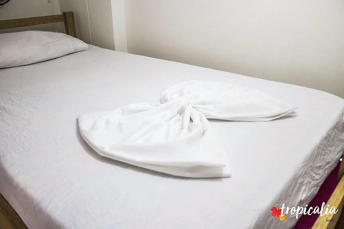 Casa Tropicalia Hotel Barranquilla Colombia